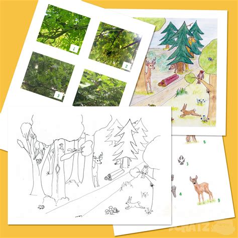 Land der wörter rätsel, übungen, arbeitsblätter zum download für alle niveaus. Schatzsuche Wald (5-6 Jahre)