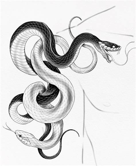 Pin By Ace Suzuki On Art I Love Snake Tattoo Design Cobra Tattoo