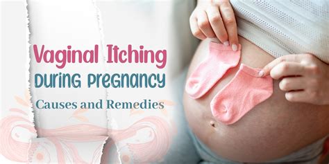 Causes And Remedies Of Vaginal Itching During Pregnancy La Elega