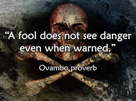 The Fool Proverbs Dangerous Wise Movies Movie Posters Films Film Poster Cinema