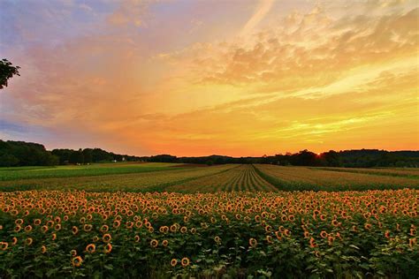 Sunset Over The Farm Photograph By Catie Canetti Fine Art America