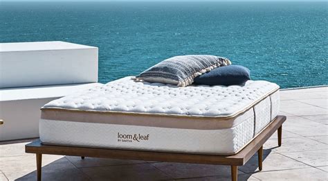 Each bottle is composed of beneficial terpenes to help you live your best self. loom & leaf mattress comfort