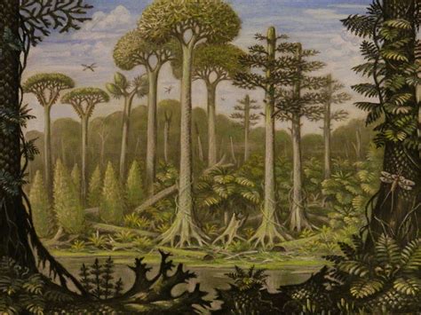 A Forest Of The Carboniferous Period Var1 By Abelov2014 On Deviantart