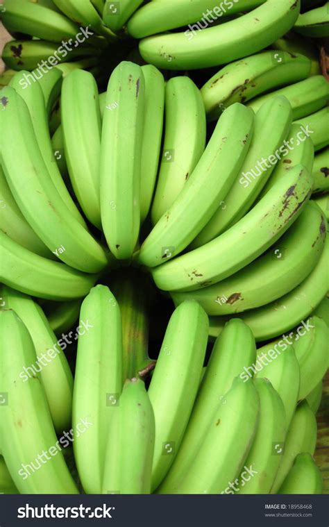 The Banana Fruit Grow In Hanging Clusters With Up To 20 Fruit To A