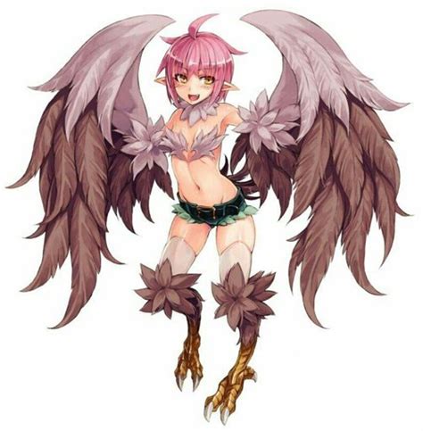 Harpy Wiki Monster Girl Hang Out Amino