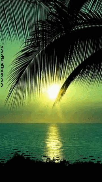 With tenor, maker of gif keyboard, add popular good morning beautiful animated gifs to your conversations. Pin on Water Reflection, Water Moving, Waterfall , Rain,