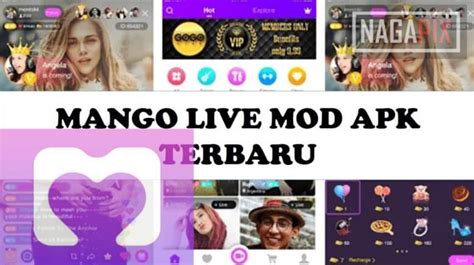 Mango Live Ungu Mod Apk 2020 Unlocked All Room