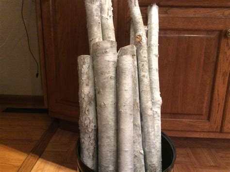 Faux Birch Logs I Spray Painted These Regular Tree Branches With Satin