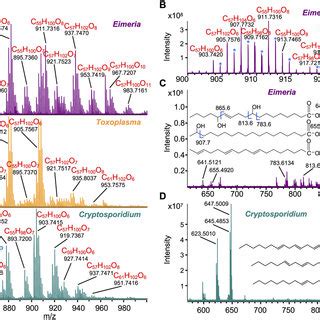 The parasites form three developmental stages: (PDF) Evidence for a Structural Role for Acid-Fast Lipids ...