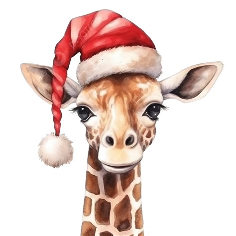 Hand Drawn Portrait Of Giraffe In Christmas Accessories Funny