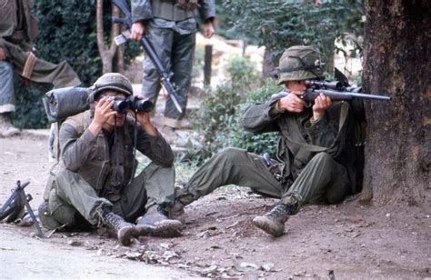 Sgt Zs Favorites — A Us Marine Sniper Takes Aim From Behind A Tree