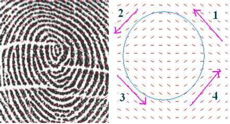 Obtaining Orientation Map Of Fingerprint Image Using Opencv Stack