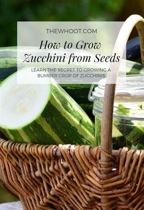 You can also use this same process for freezing yellow squash, too! Growing Zucchinis From Seeds Video - The WHOot | Growing ...