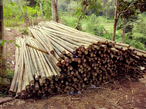 kang ujang jual bambu partai besar  berbagai jenis ukuran