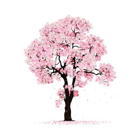 Blossoming Pink Sakura Tree Isolated Cherry Blossom Drawing Tree