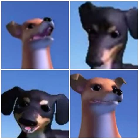 Matching Icons For The Squad Cute Memes Icon Funny Animal Pictures