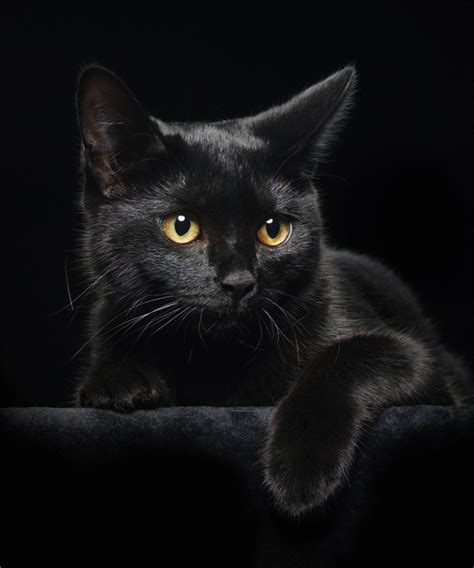 Polski Folklor - Polish Folklore: 13go WSZYSTKO ZDARZYĆ SIĘ MOŻE...