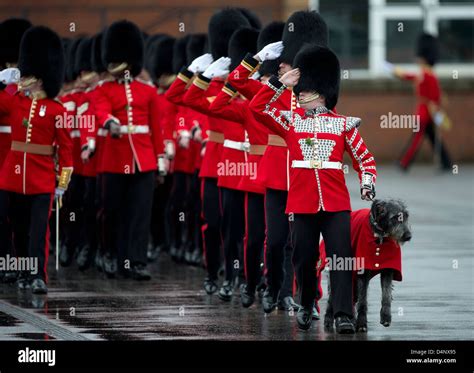 Irish Guards Serving In The British Army On Parade In Aldershot 173
