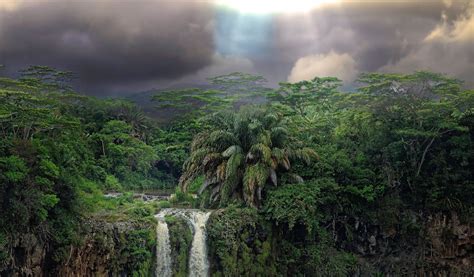 Tropical Rainforest Wallpaper 1920ãƒ 1200 Tropical Mauritius Free