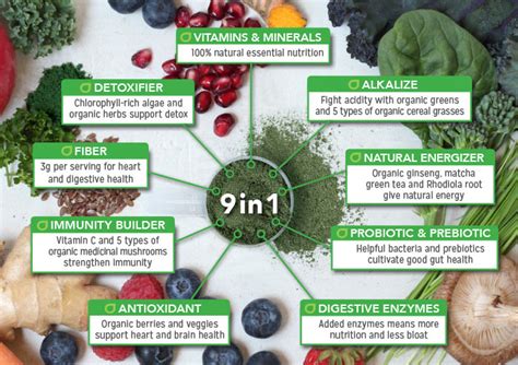 Touchstone essentials super green juice superfood powder. The Best Green Superfood Juice Powder You Can Buy | Naturalife