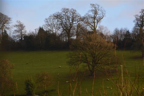 Tiverton Tumbling Fields Lewis Clarke Geograph Britain And Ireland