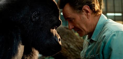 The movie — an adaptation of a 2012 children's novel by k.a. The remarkable true story of Ivan, the gorilla at the ...