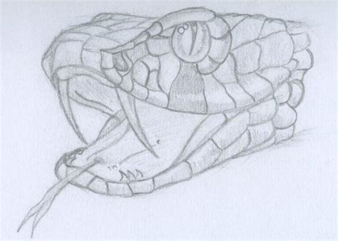 I had fun experimenting with this video, and hopefully you'll enjoy. Snake Head by asyrill on deviantART | Рисунки, Рисовать ...