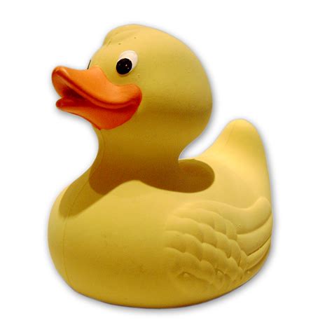 Rubber Ducky Teenage Sex Quizes