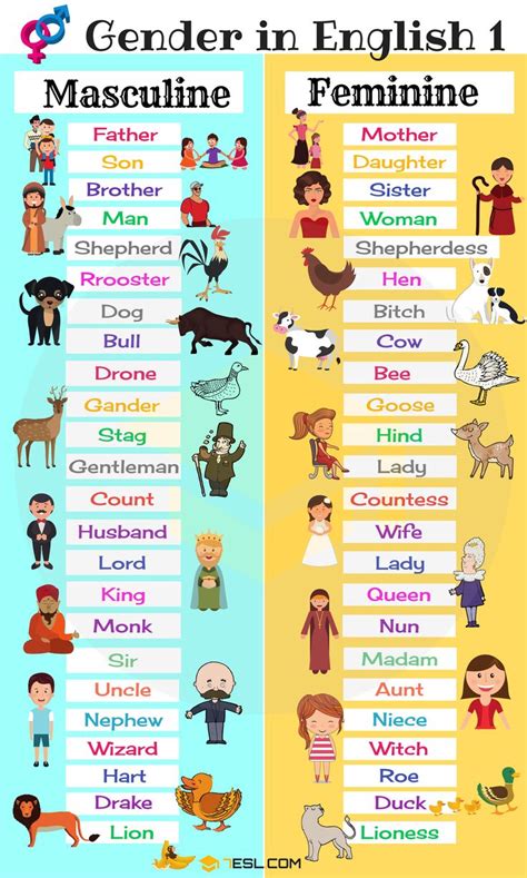 Maybe you would like to learn more about one of these? Gender Of Nouns: Useful Masculine And Feminine List - 7 E ...