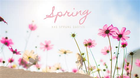 Spring Has Sprung Quotes | Spring Has Sprung Quotes