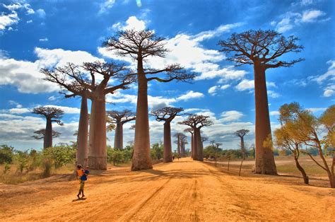 Madagascar's best sights and local secrets from travel experts you can trust. Madagascar 13D - UTC