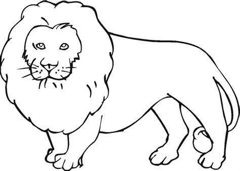 Lion Images For Colouring Clip Art Library