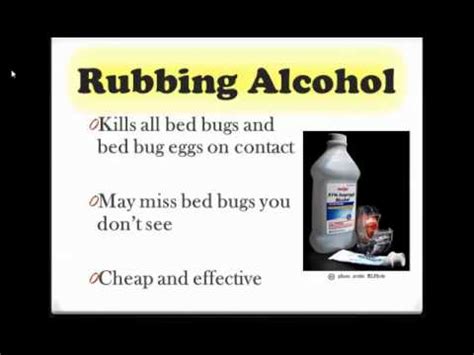 Check spelling or type a new query. How To Kill Bed Bugs With Baking Soda Mixture Over-the ...