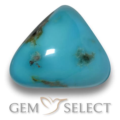 Trillion Cabochon Turquoise From United States December Birthstone