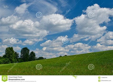 Landscape With Green Grass And Trees On The Hillside And Clouds On The