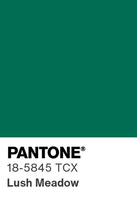 Pantone® Apac Pantone® 18 5845 Tcx Find A Pantone Color Quick