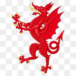 Walaupun hanya terlihat seperti hobi, ternyata, manfaat dan tujuan budidaya tanaman hias ini cukup banyak sehingga patut untuk dicoba. Buah Naga Kartun Png - Gambar Kartun