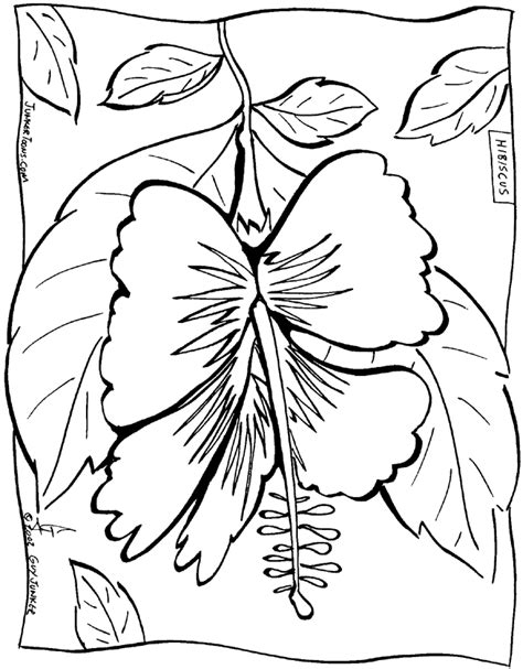 Printable Hawaiian Coloring Pages  Coloring Home