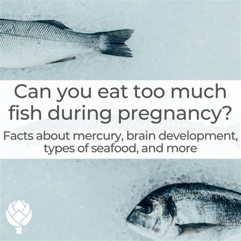 Can You Eat Too Much Fish During Pregnancy Lily Nichols Rdn
