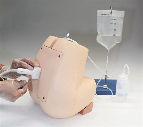 Ultrasound Compatible Lumbar Puncture Epidural Simulator Ultrasound