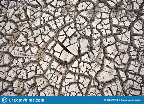 Cracks In Ground During Dry Season Drought Stock Photo Image Of Earth