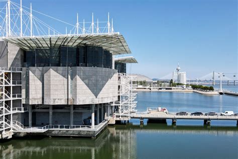 The Lisbon Aquarium More Than An Underwater Journey Getlisbon