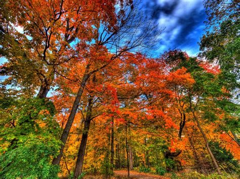 5 Best Outdoor Autumn Activities