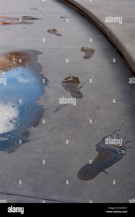 Wet Footprints On A Pavement Stock Photo Alamy