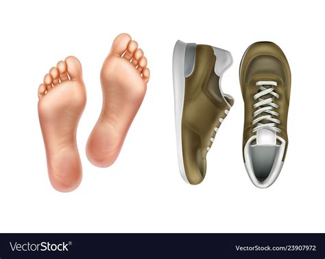 Left And Right Foot Soles Royalty Free Vector Image