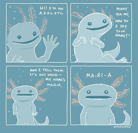 Axolotl Funny Memes Axolotl What Year Is It
