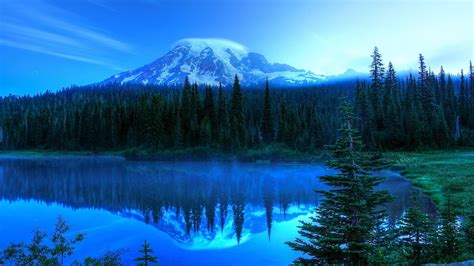 9.1 2560x1440 61465 силуэт, звездное небо, столбы. HD 2560 x 1440 Backgrounds | PixelsTalk.Net