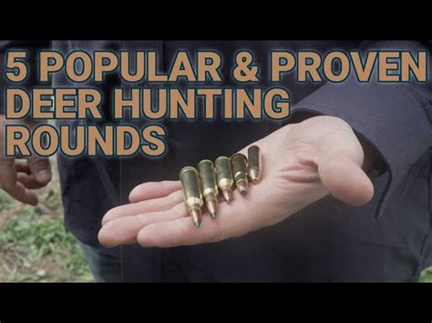 5 Popular And Proven Deer Hunting Cartridges