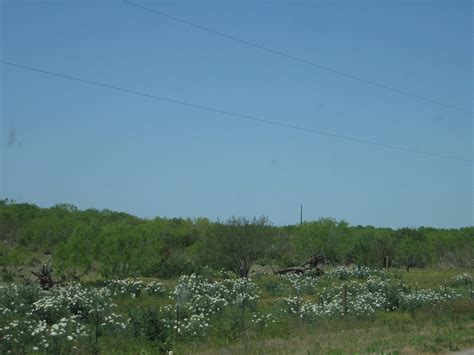 Carrizo Springs, TX