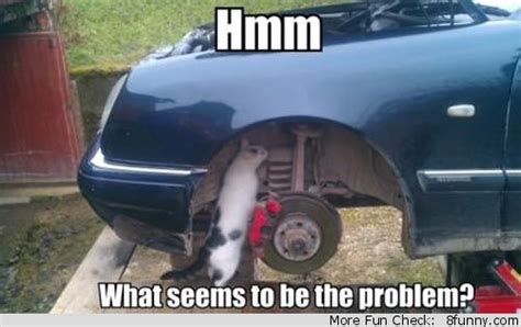Cat Car 8funny Mechanic Humor Mechanics Jokes Mobile Mechanic